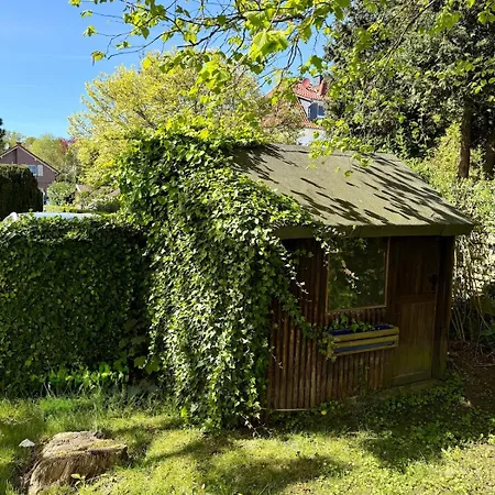 Sonnenschein Varel